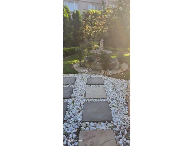 pic_61519891_640x480